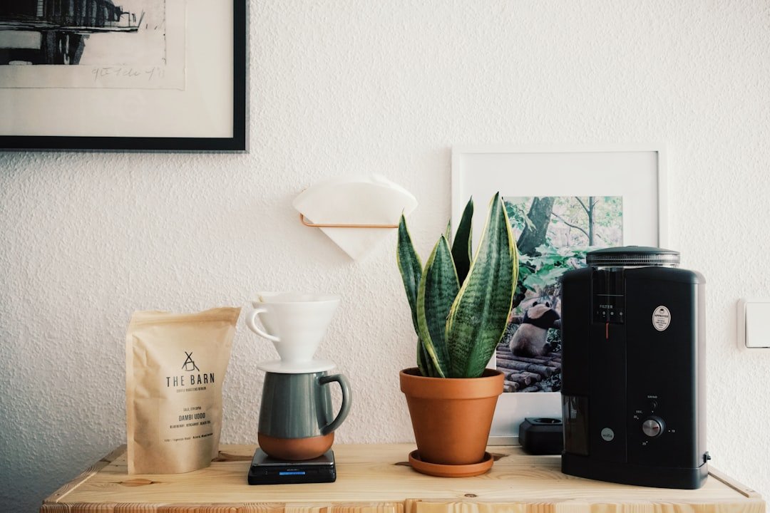 Pour-over brewer, coffee bag, grinder, and plant arranged as a simple home coffee kit.
